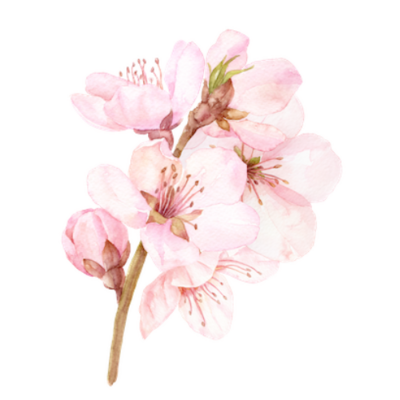 Personalized, One-on-One Treatments